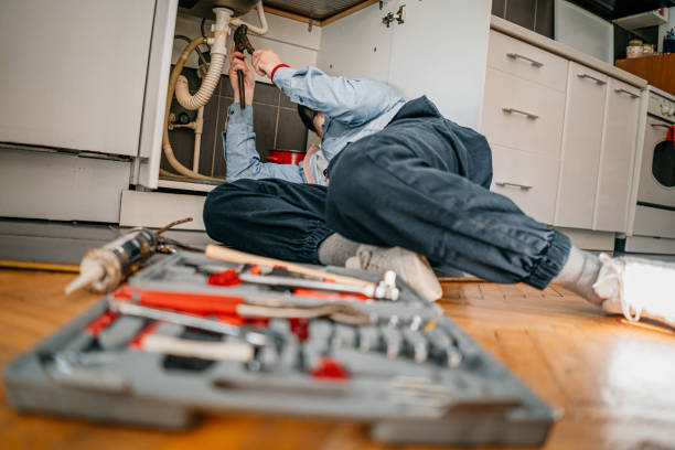 Best Plumbing Inspection Services  in Tomahawk, WI